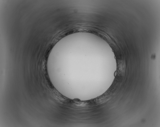 X0000091570667200708200952