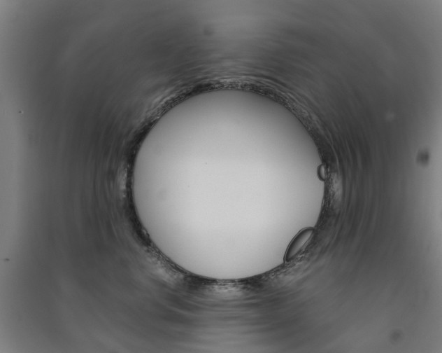 X0000091570668200708200952