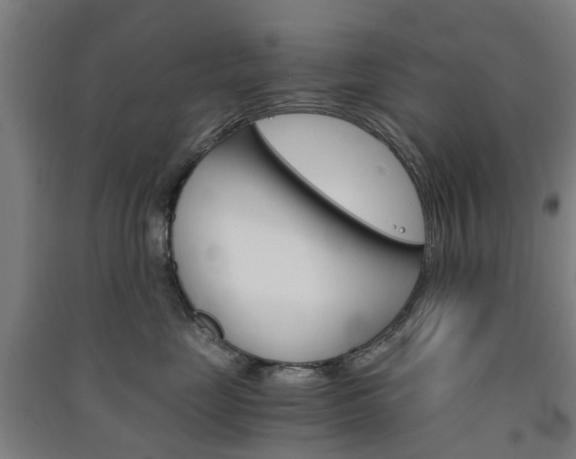 X0000091570669200708200952
