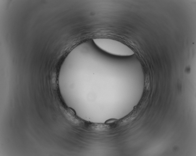 X0000091570670200708200952