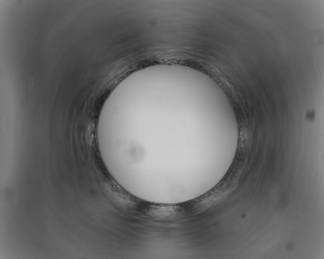 X0000091570671200708200952