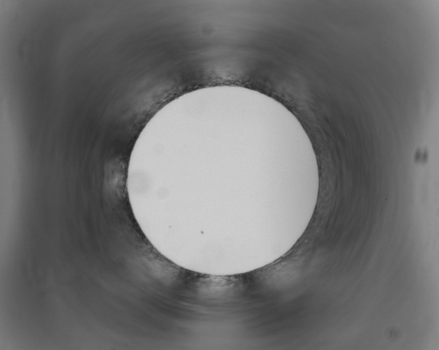 X0000091570672200708200952