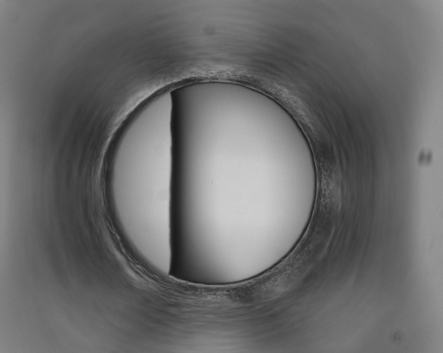 X0000091570674200708200951