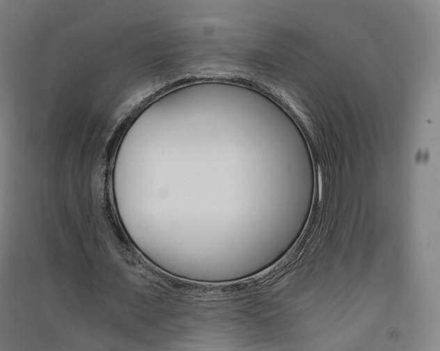 X0000091570675200708200951