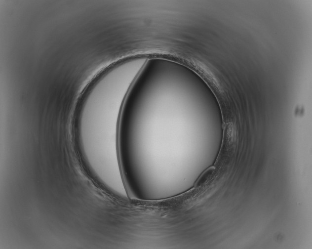 X0000091570676200708200951