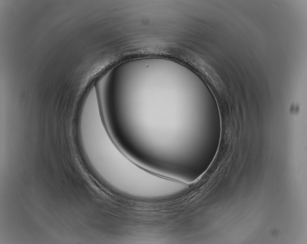 X0000091570677200708200951