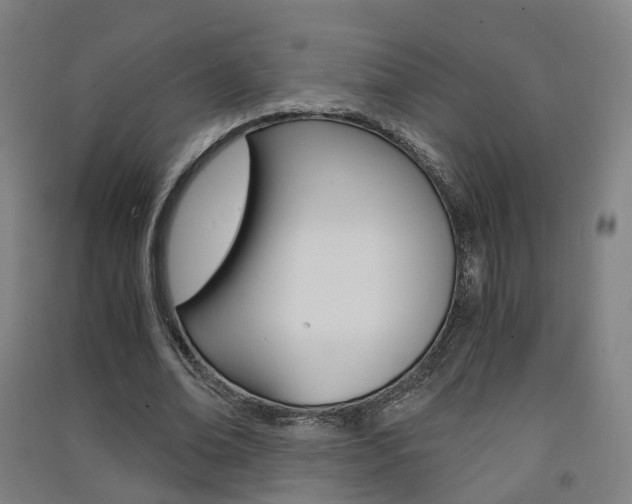 X0000091570678200708200951
