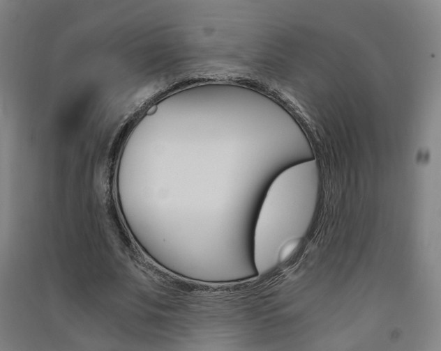 X0000091570679200708200951