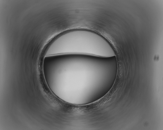X0000091570680200708200951