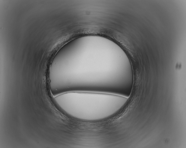 X0000091570681200708200951