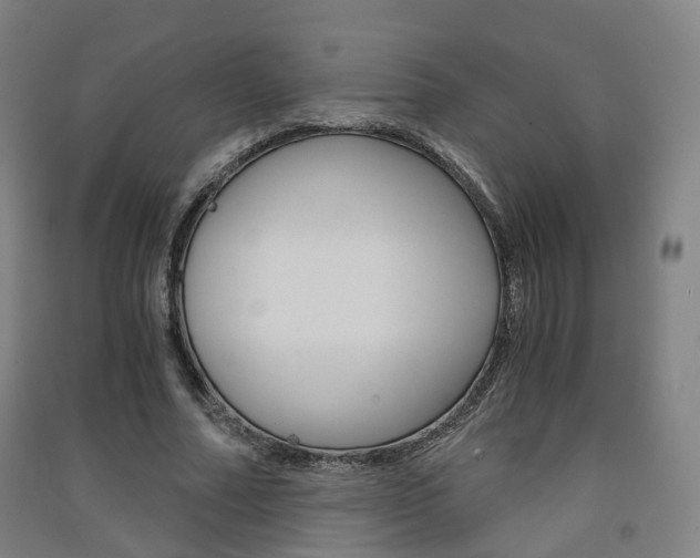 X0000091570682200708200951