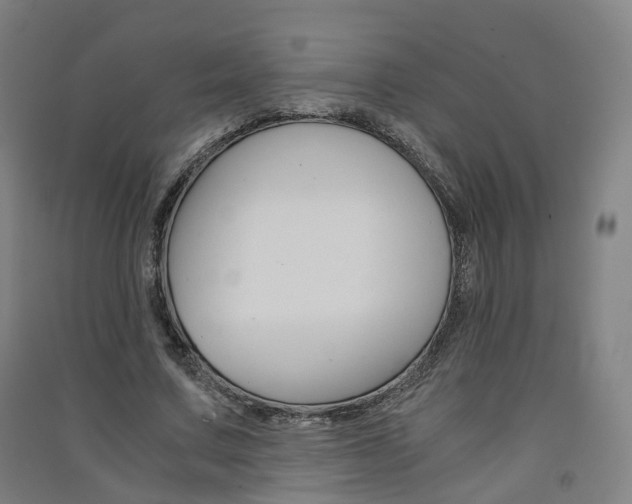 X0000091570683200708200951