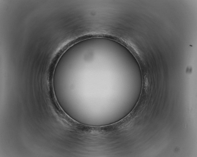 X0000091570684200708200951