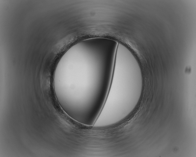 X0000091570685200708200951