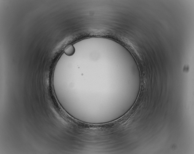 X0000091570686200708200951