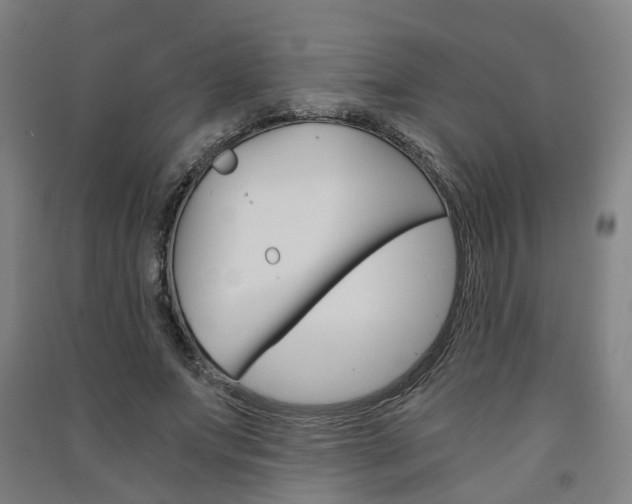 X0000091570687200708200951