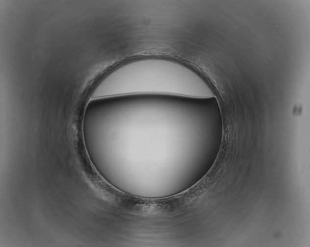 X0000091570688200708200951