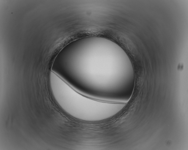 X0000091570689200708200951