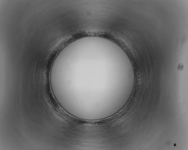 X0000091570690200708200951