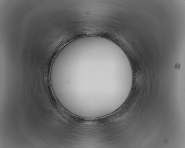 X0000091570691200708200951