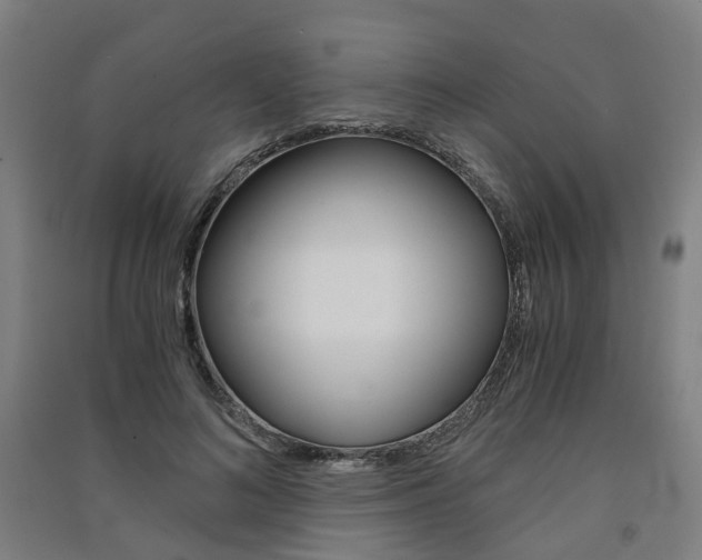 X0000091570692200708200951