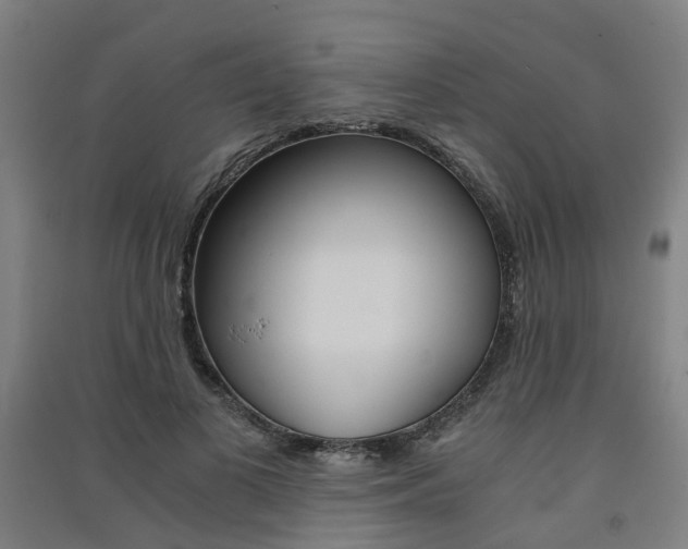 X0000091570693200708200951