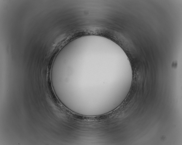 X0000091570694200708200951