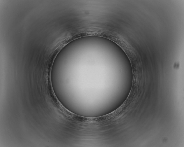 X0000091570696200708200951