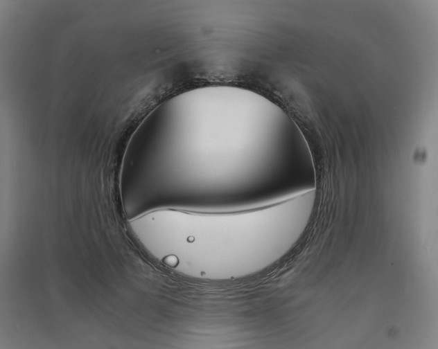 X0000091570697200708200951