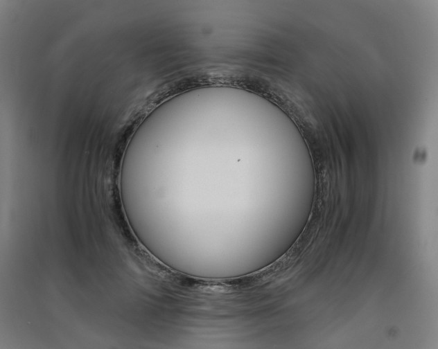 X0000091570698200708200951