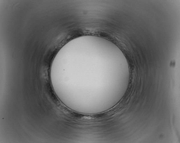 X0000091570699200708200951