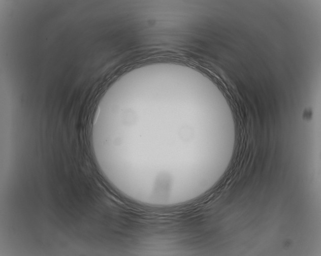 X0000091570701200708200951