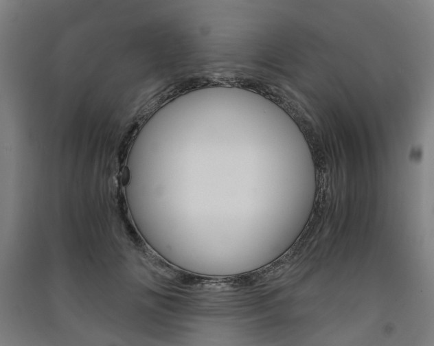 X0000091570702200708200951