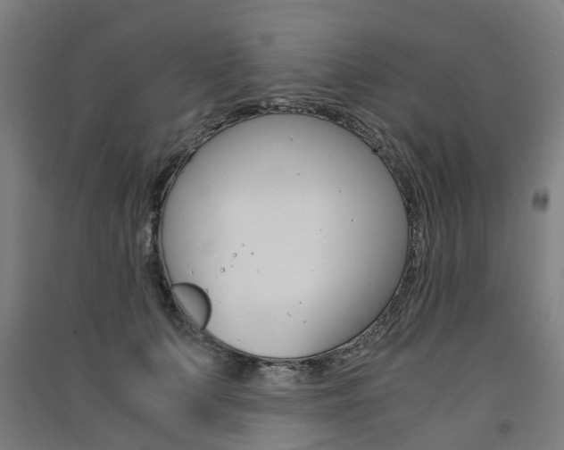 X0000091570703200708200951
