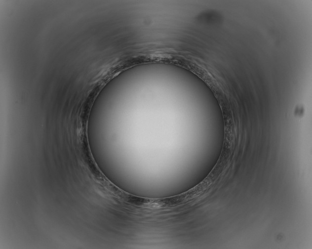 X0000091570704200708200951