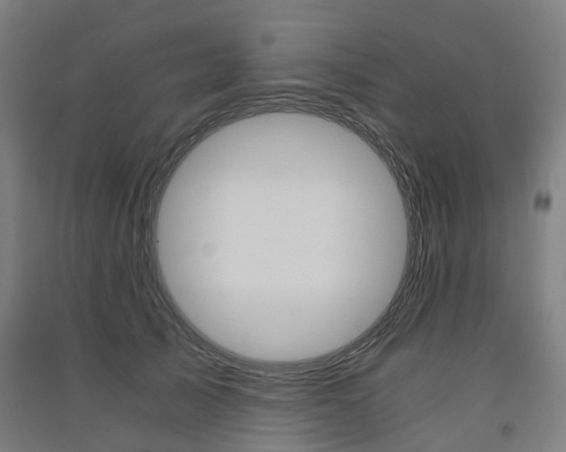 X0000091570705200708200951