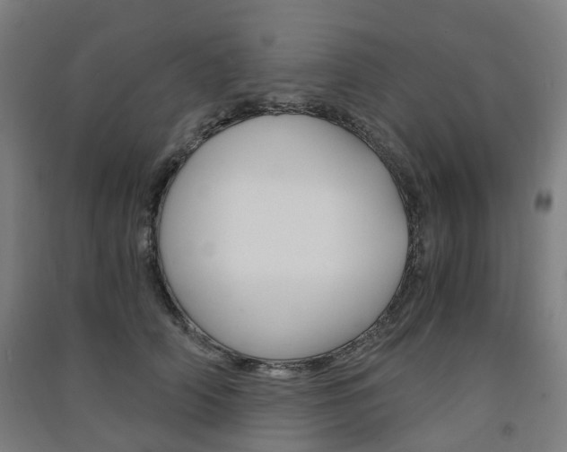 X0000091570706200708200951