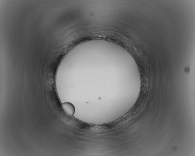 X0000091570707200708200951