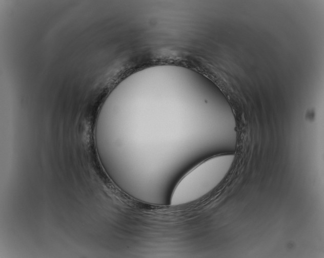 X0000091570708200708200951