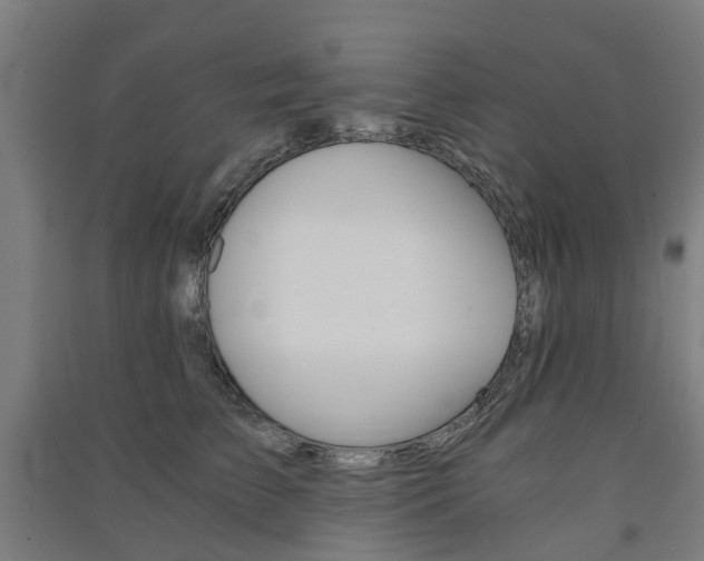X0000091570709200708200951