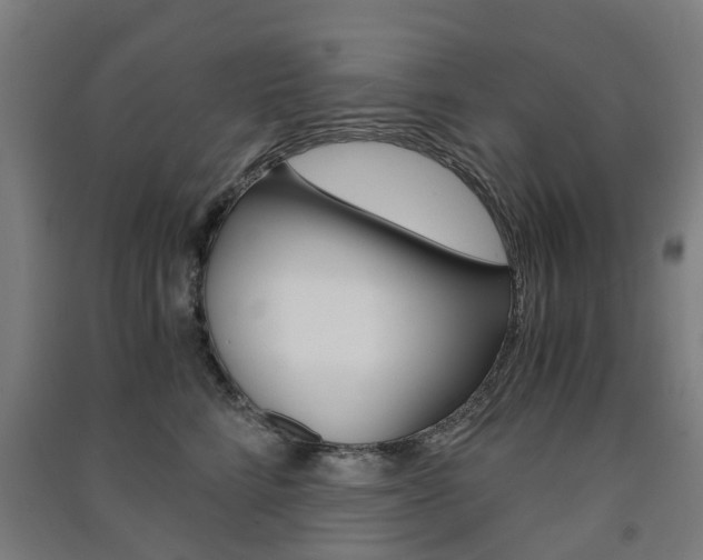 X0000091570712200708200951