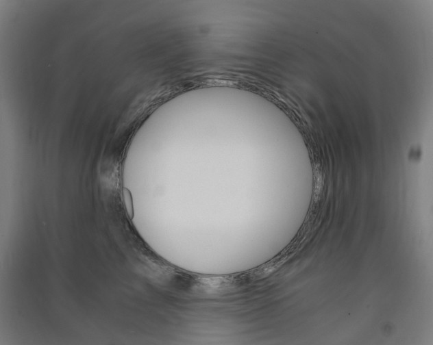 X0000091570713200708200951