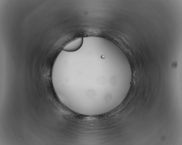 X0000091570714200708200951