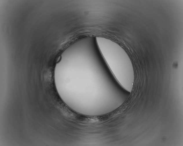 X0000091570715200708200951
