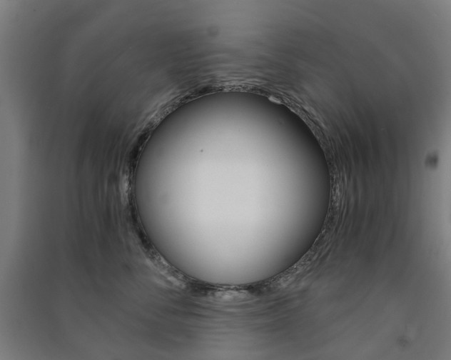 X0000091570716200708200951