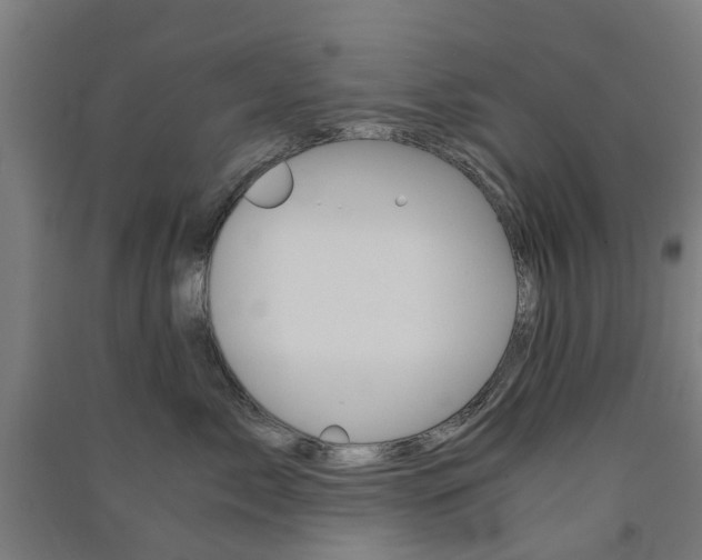 X0000091570717200708200951