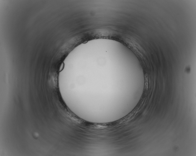 X0000091570718200708200951