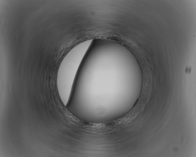X0000091570720200708200951