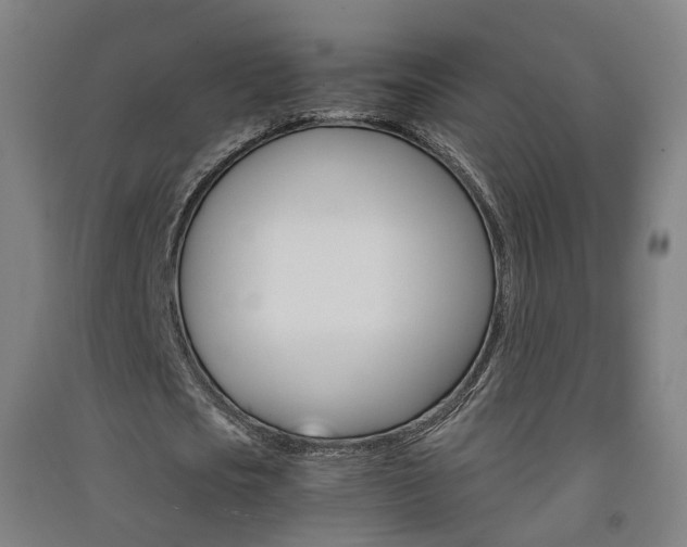 X0000091570721200708200950