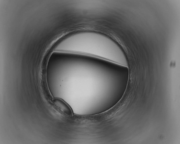 X0000091570722200708200950